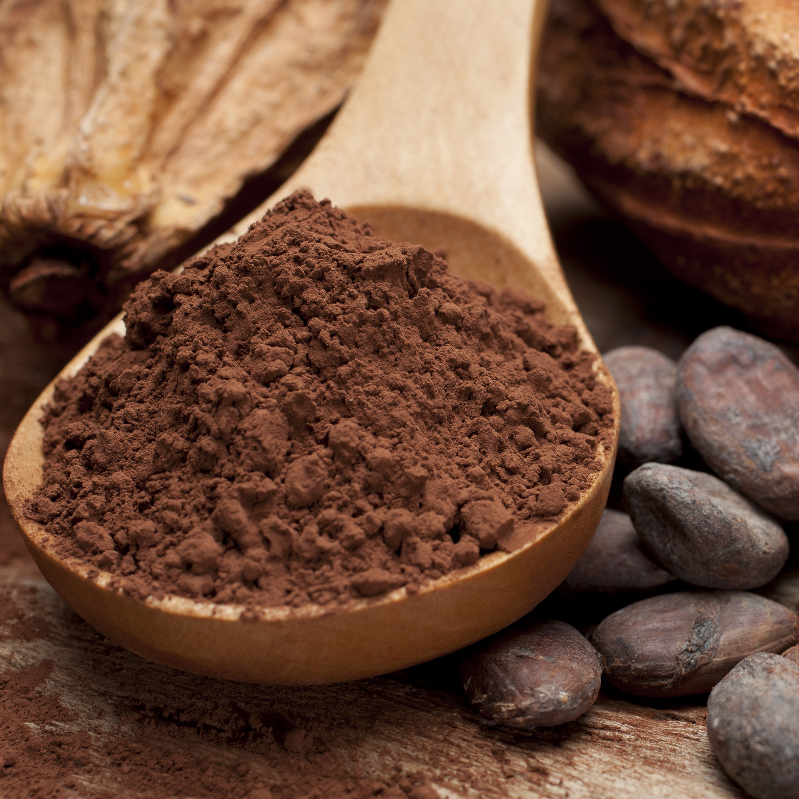 Натуральные порошка. Какао порошок алкализованный. Какаопорошок алколизовпнный. Какао премиум, порошок алкализованный. Какао порошок алкализированный 100гр.